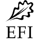 Efi.int logo