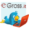 Egross.it logo