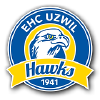 Ehcuzwil.ch logo