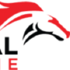 Elfederalonline.com logo