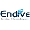 Endivesoftware.com logo