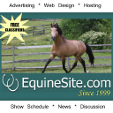 Equinesite.com logo
