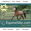 Equinesite.com logo