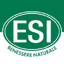 Esi.it logo