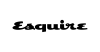 Esquirekorea.co.kr logo