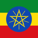 Ethiopianembassy.org logo