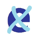 Exionnaire.com logo