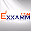 Exxamm.com logo