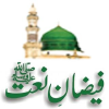 Faizanenaat.com logo