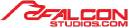 Falconstudios.com logo