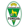 Fcgomel.by logo