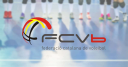 Fcvoleibol.cat logo