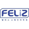 Felizspanish.co.kr logo