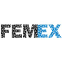 Femex.ir logo