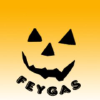 Feygas.ru logo