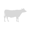 Findtheinvisiblecow.com logo