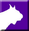 Finishlynx.com logo