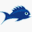 Fishing.net.nz logo