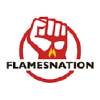 Flamesnation.ca logo