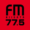 Fmniigata.com logo