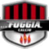 Foggialandia.it logo