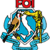 Foi.it logo