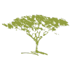 Forestry.co.za logo