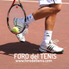 Forodeltenis.com logo