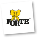 Forte.com.pl logo