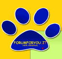 Forumforyou.it logo