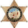 Fresnosheriff.org logo