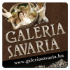 Galeriasavaria.hu logo