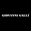 Giovannigallistore.com logo