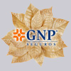 Gnp.com.mx logo