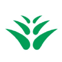 Greenpower.org.hk logo