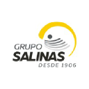 Gruposalinas.com.mx logo