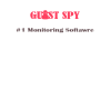 Guestspy.com logo