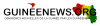 Guineenews.org logo