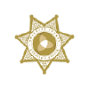 Gwinnettcountysheriff.com logo