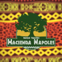Haciendanapoles.com logo