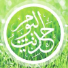 Hadithoftheday.com logo