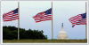 Halfstaff.org logo