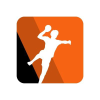 Handbal.nl logo