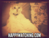 Happywatching.com logo