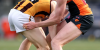 Hawthornfc.com.au logo