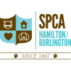 Hbspca.com logo