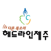 Headlinejeju.co.kr logo