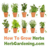 Herbgardening.com logo