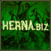 Herna.biz logo