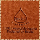 Hevitz.com logo